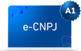 e-CNPJ-A1